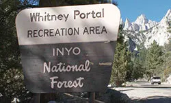 Inyo National Forest